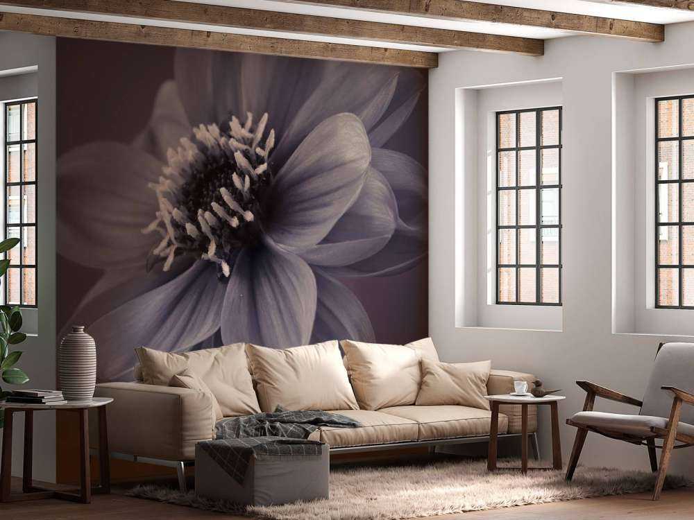 Fleur de dahlia foncé