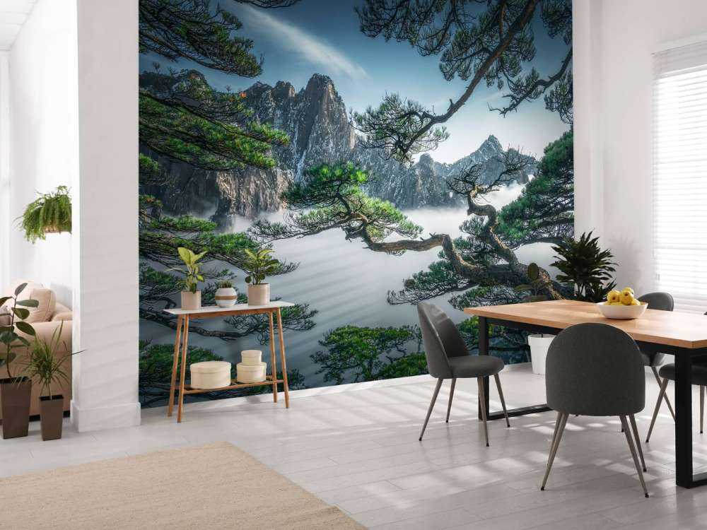 Strange pine tree in Yellow mountain