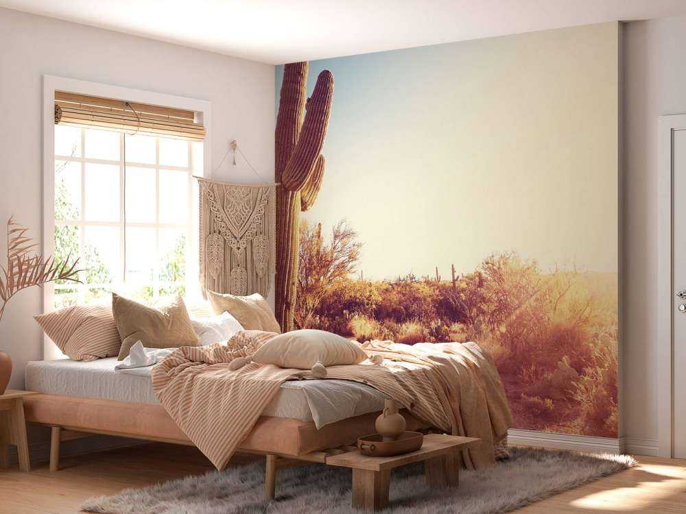 Cactus dans le désert