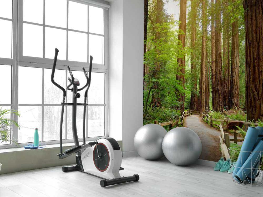 De grands arbres dans un parc