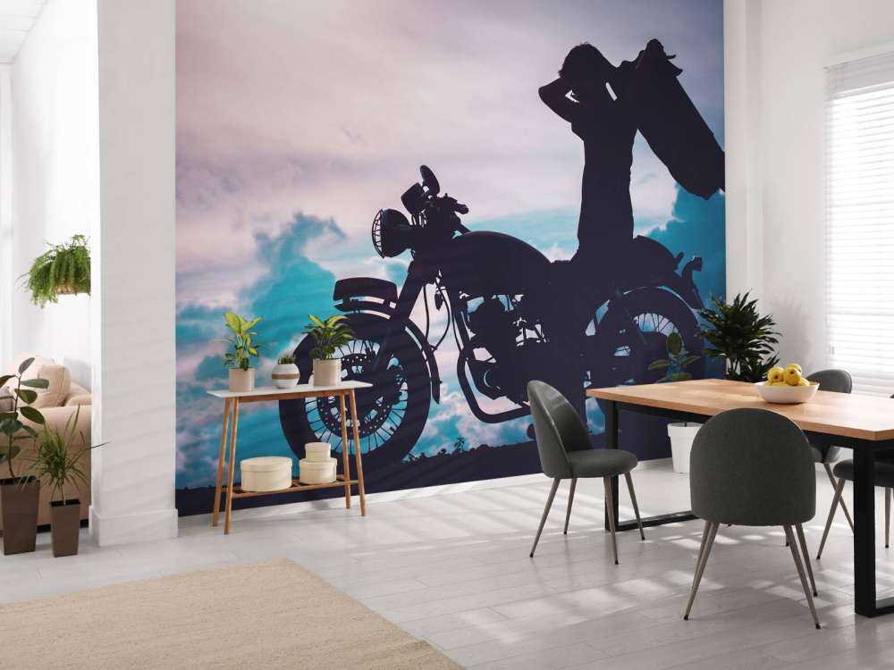 Motocycliste silhouette