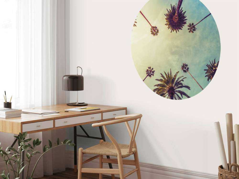 Vue de dessous des palmiers