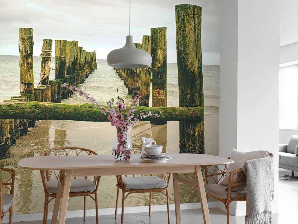 Des têtes de pieux moussues dans l'eau