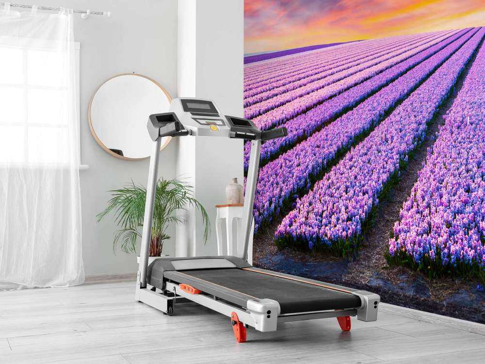 Muscari bleus