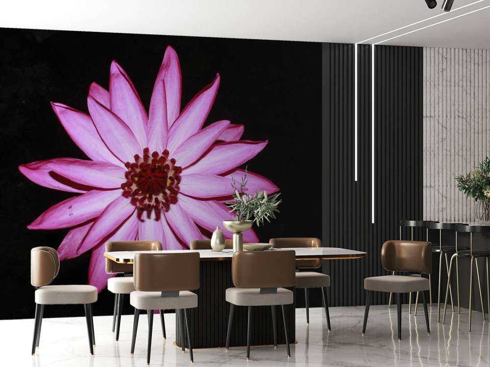 Fleur de lotus vue d'en haut