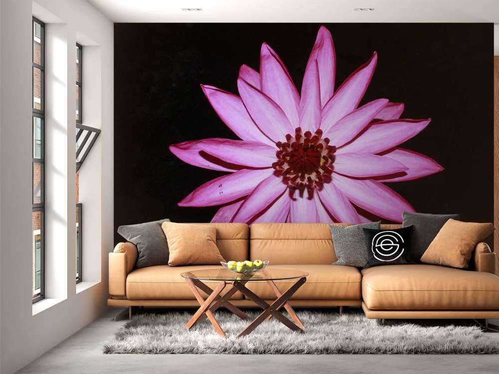 Fleur de lotus vue d'en haut