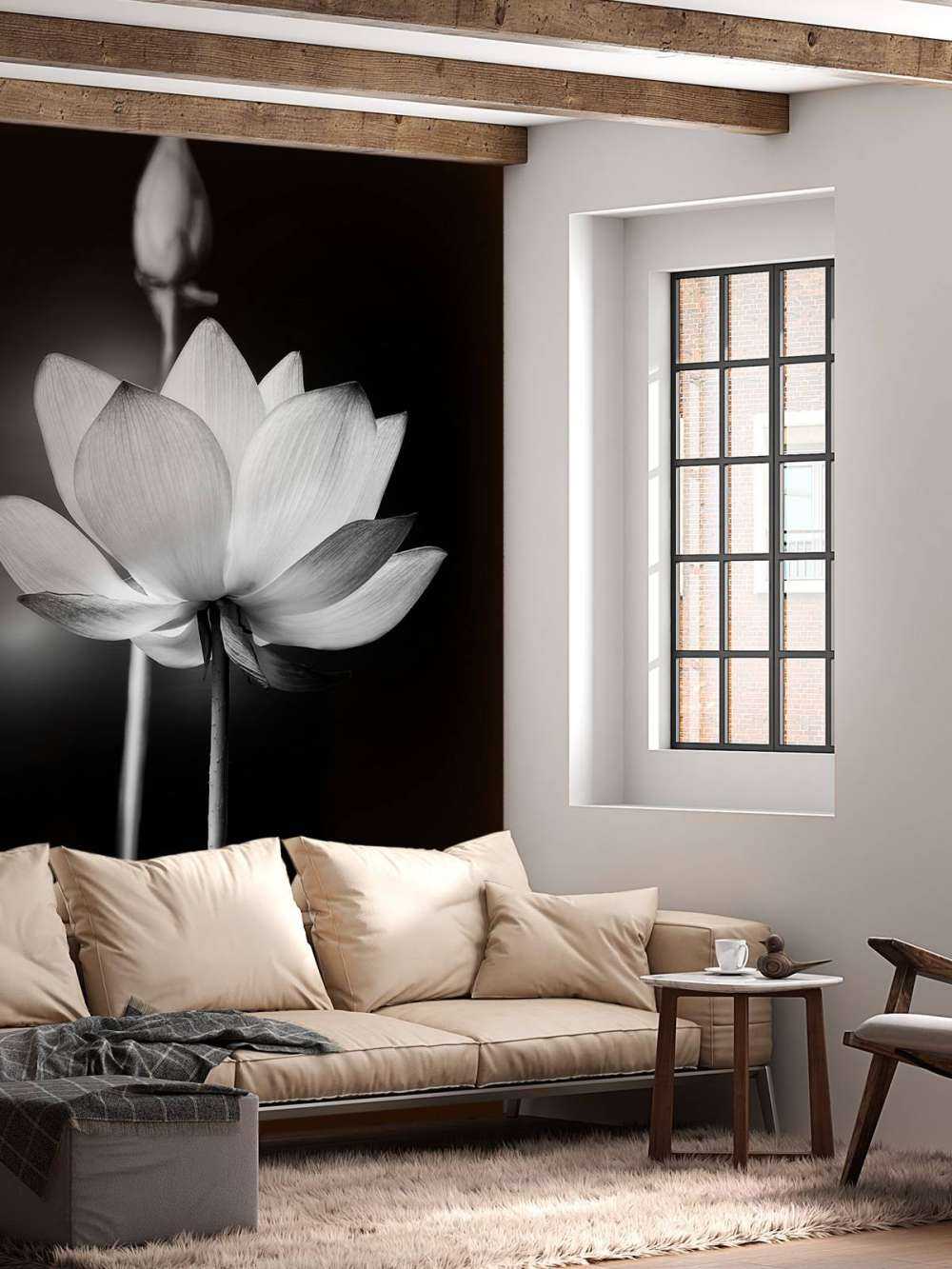 Fleurs de lotus en noir et blanc