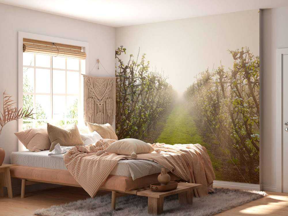 Fleur de poirier dans la brume