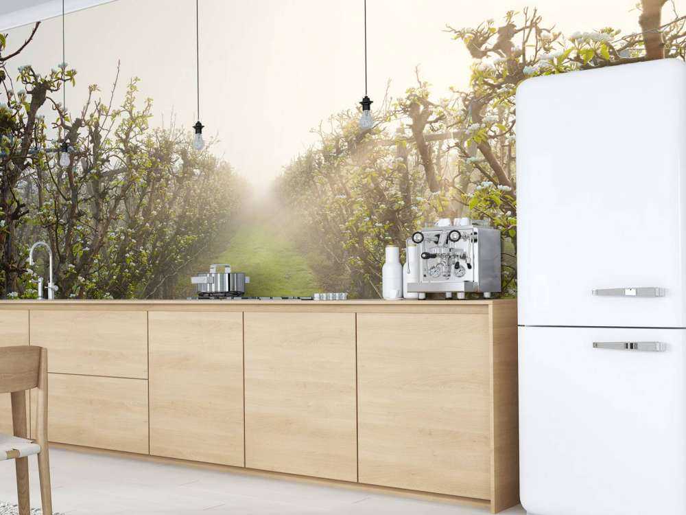 Fleur de poirier dans la brume