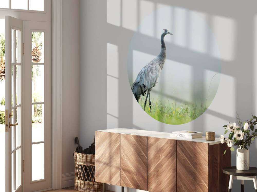 Grue dans la brume du matin