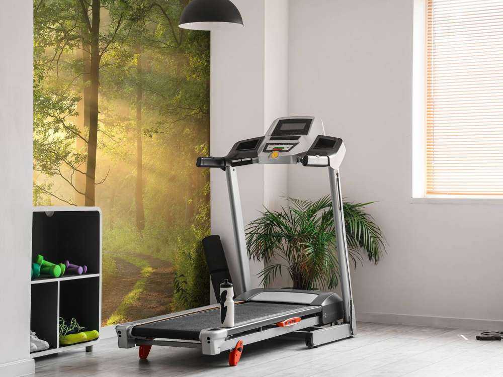 Matin brumeux de printemps