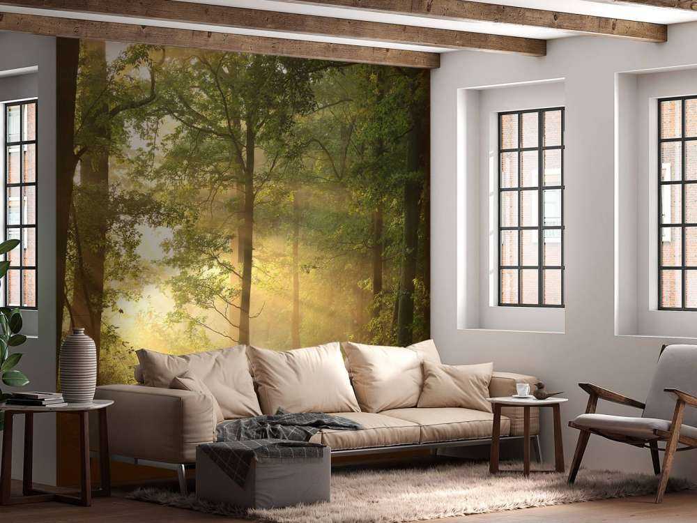 Matin brumeux de printemps