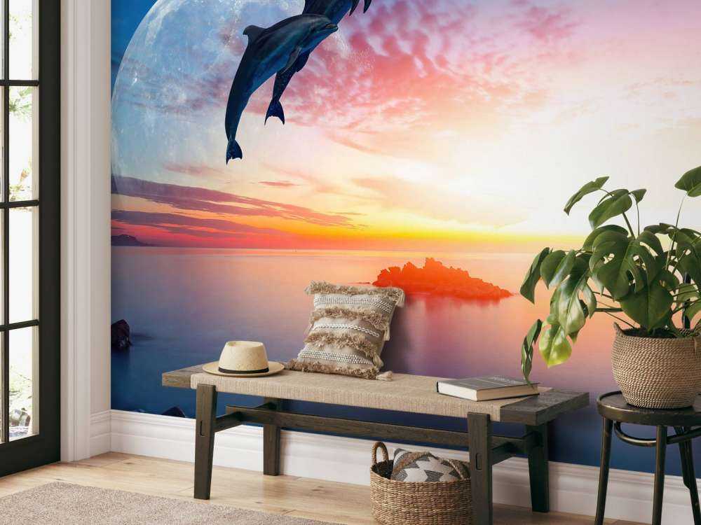 Les dauphins en pleine nuit