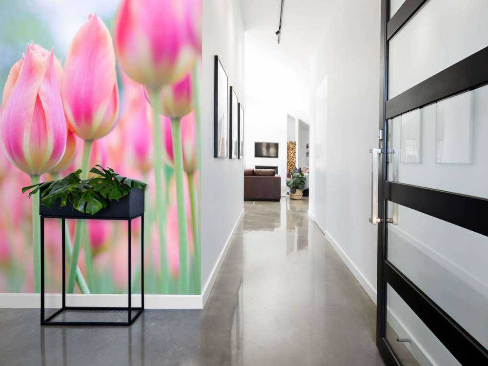 Gros plan sur des tulipes roses