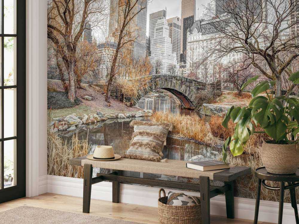 Central park en hiver