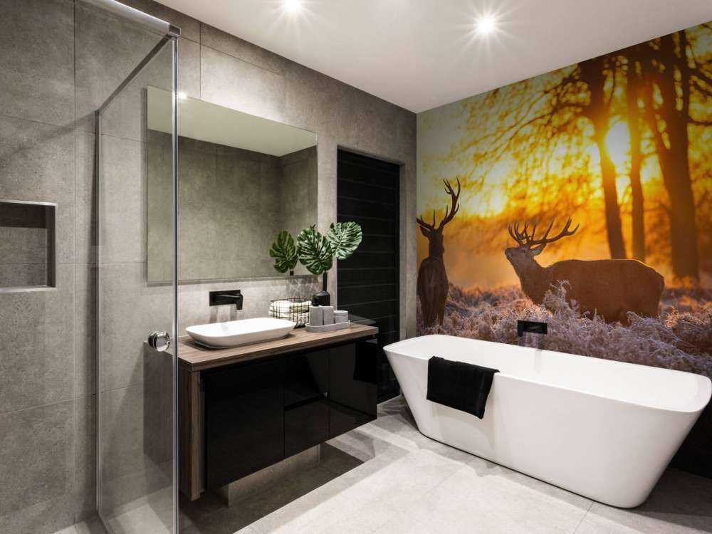 Cerfs au coucher du soleil