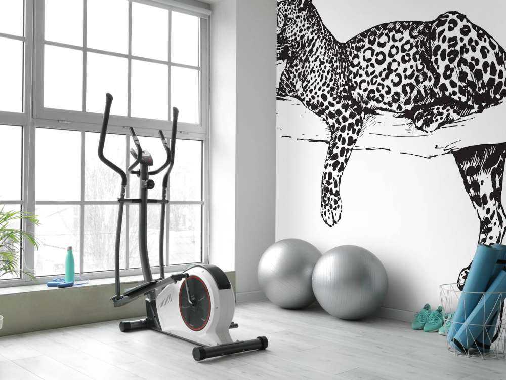 Illustration de léopard