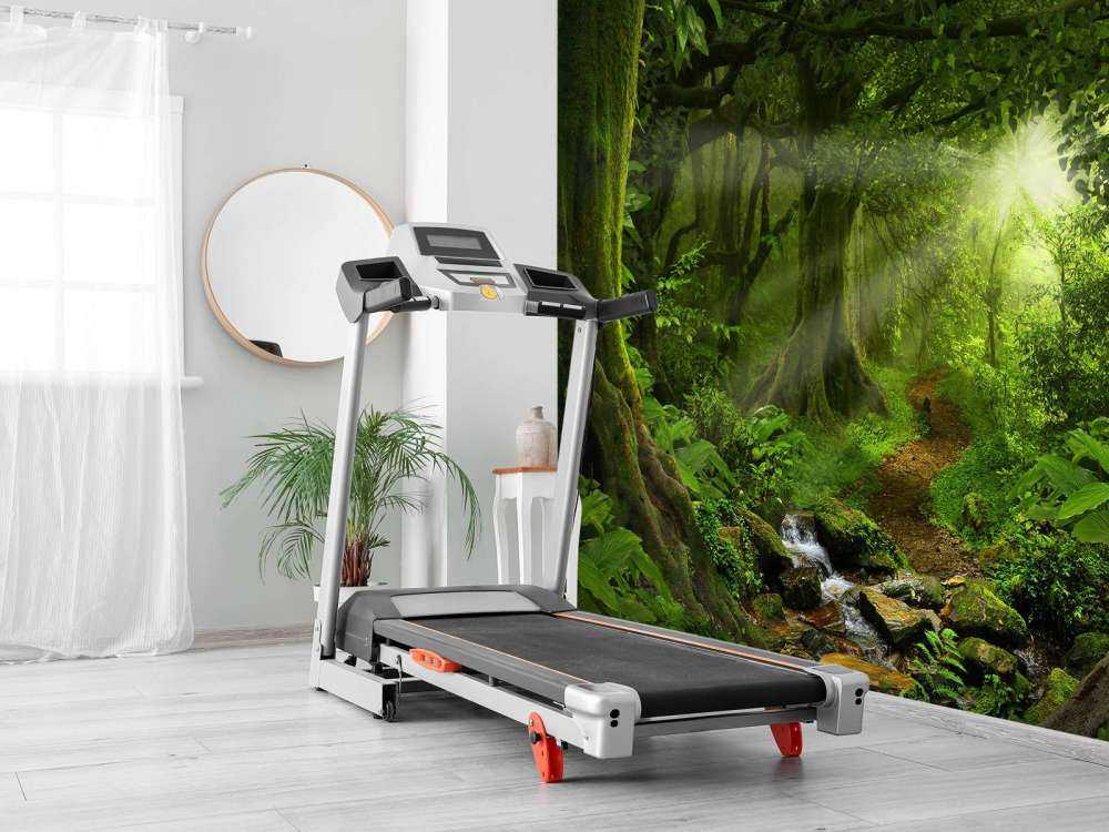 Jungle tropicale avec lumière du soleil