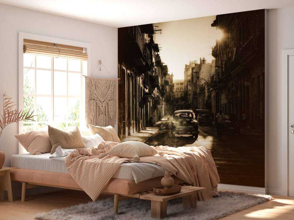 Mystic morning in Havana