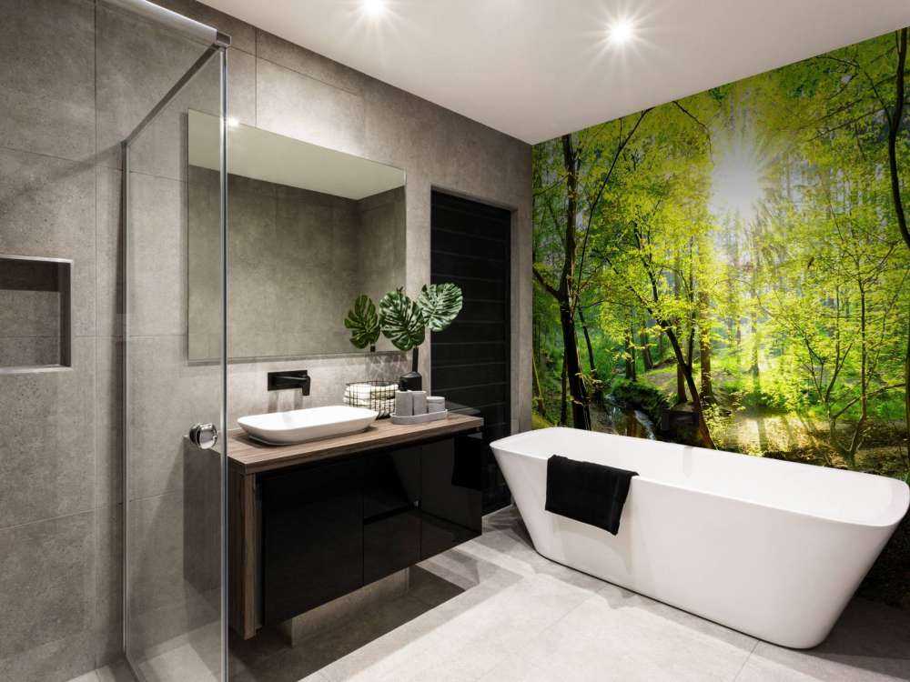 Forêt avec un ruisseau