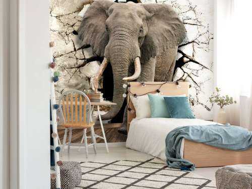 Grand éléphant hors du mur