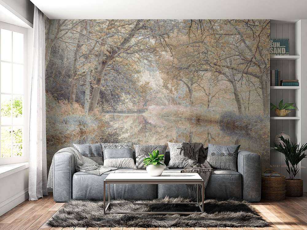 Rivière dans les bois