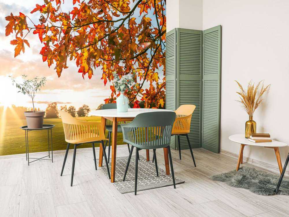 Arbre d'automne au coucher du soleil