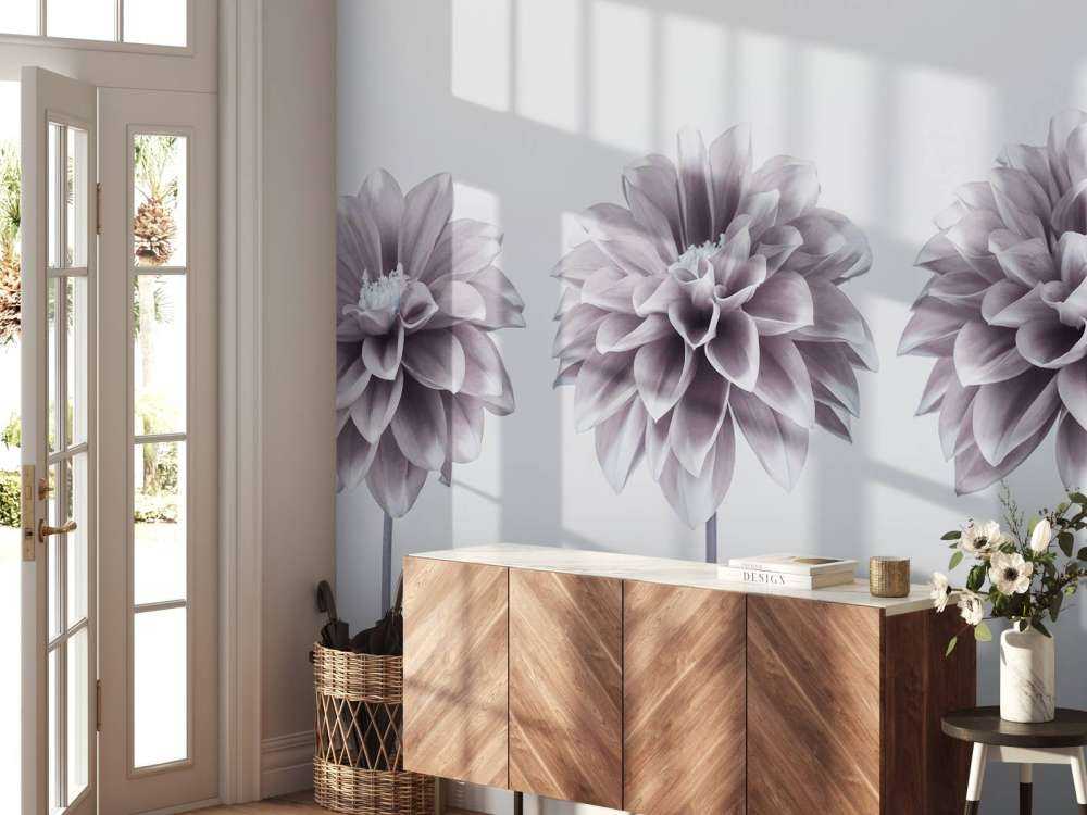 Dahlias