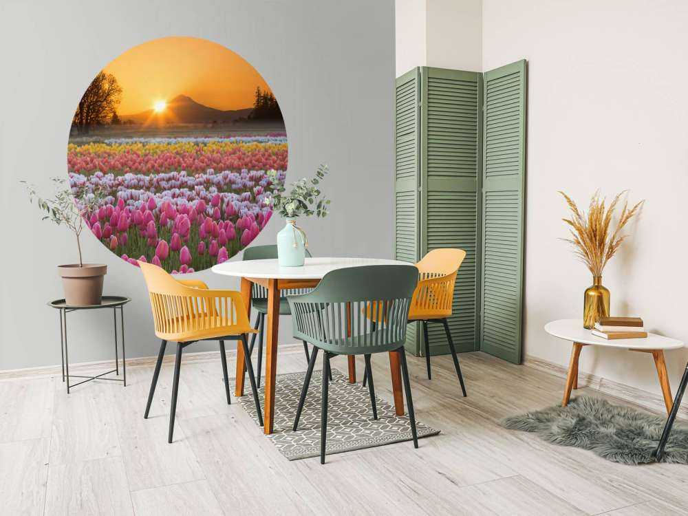 Champ de tulipes coloré