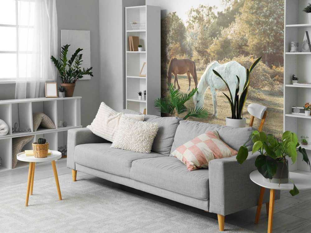 Chevaux dans la prairie