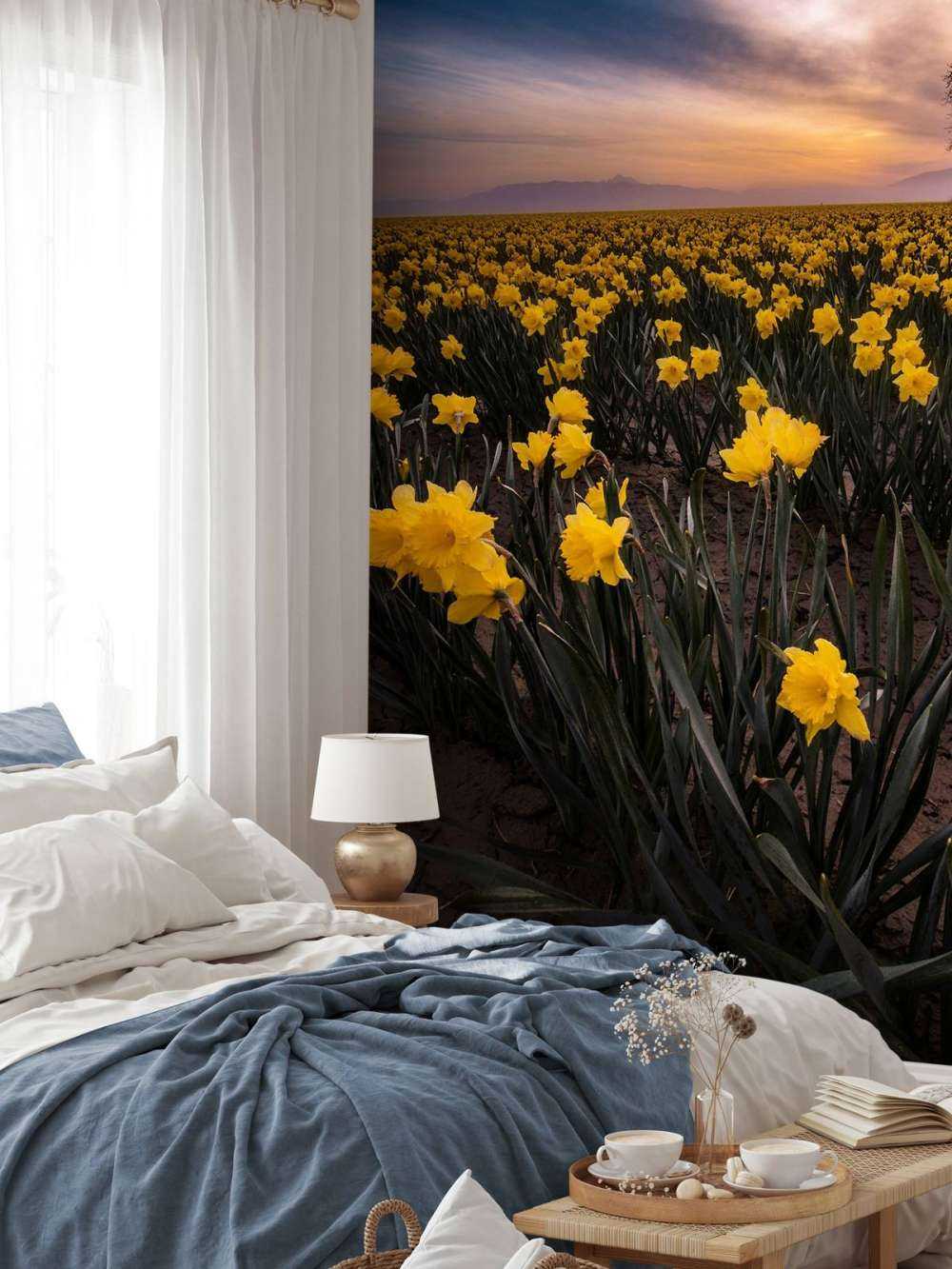 Champ avec jonquilles