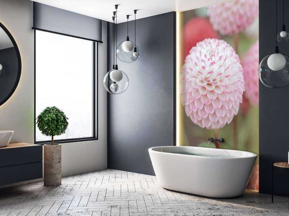 Fleurs de dahlia roses