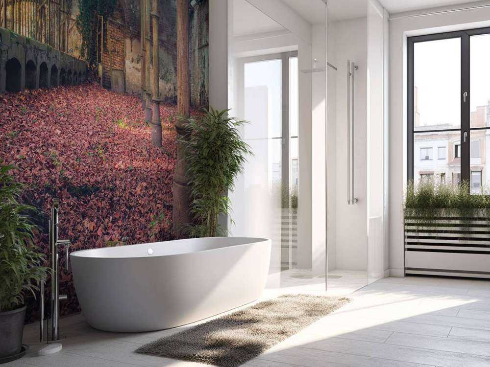 Maison abandonnée avec des feuilles