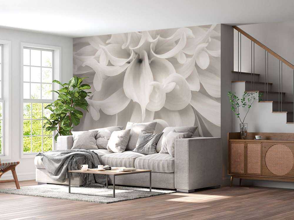 Gros plan sur une fleur de dahlia