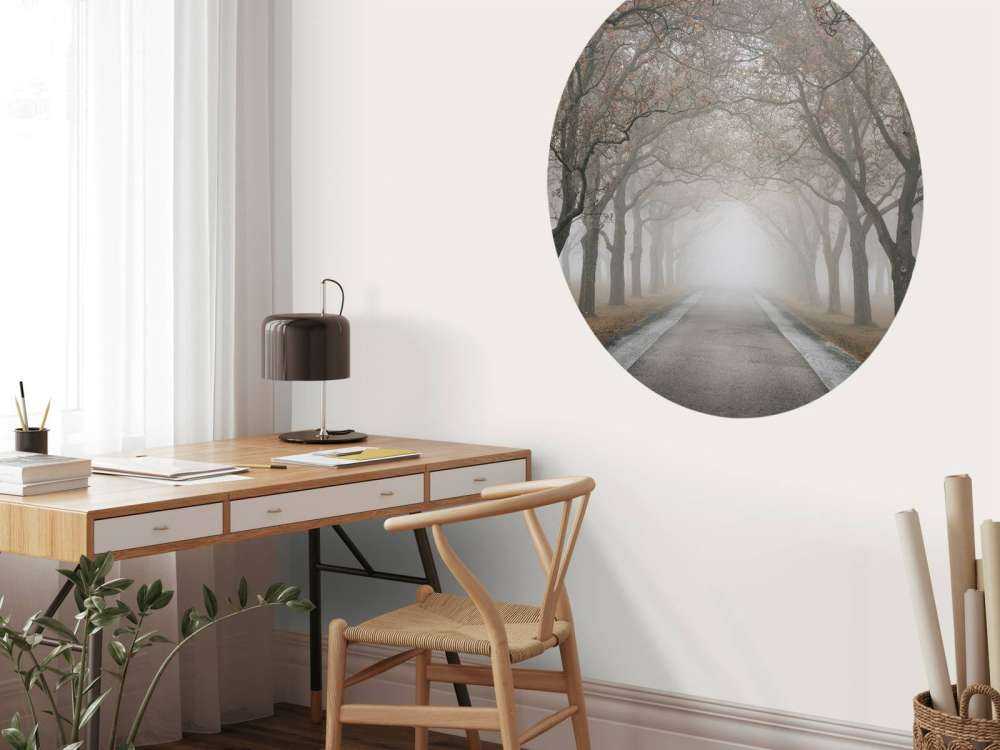 Route avec de vieux arbres