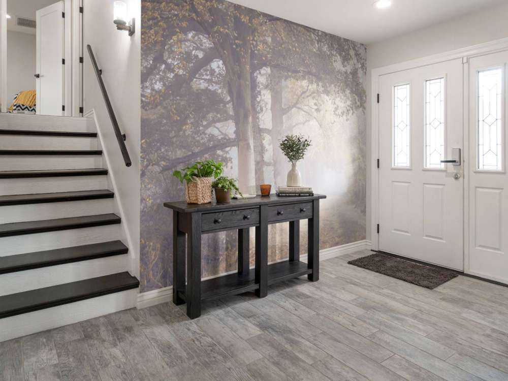 Route brumeuse avec des arbres