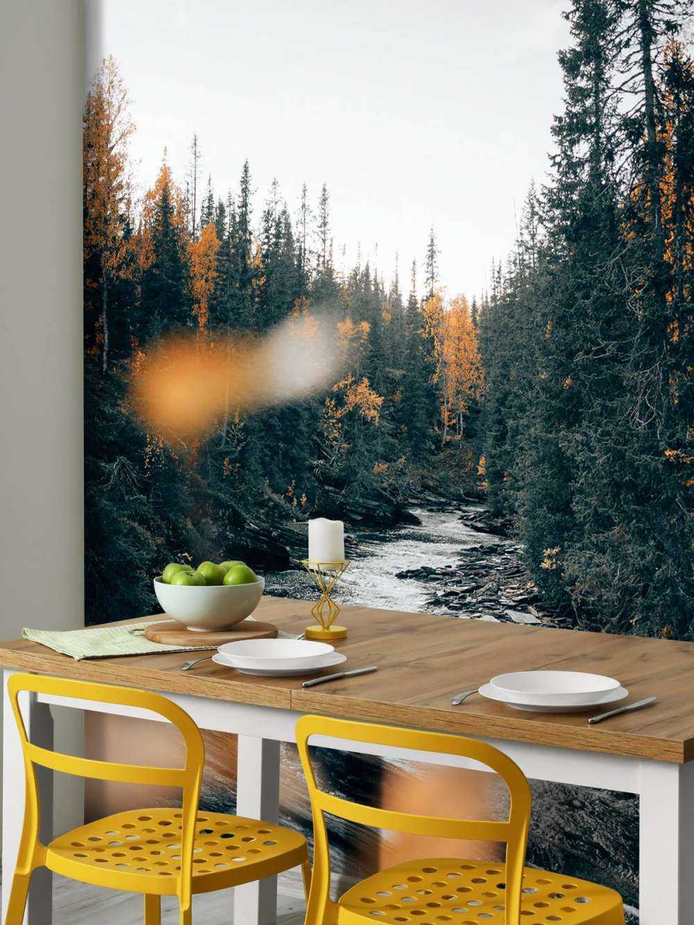 Forêt d'automne enchantée