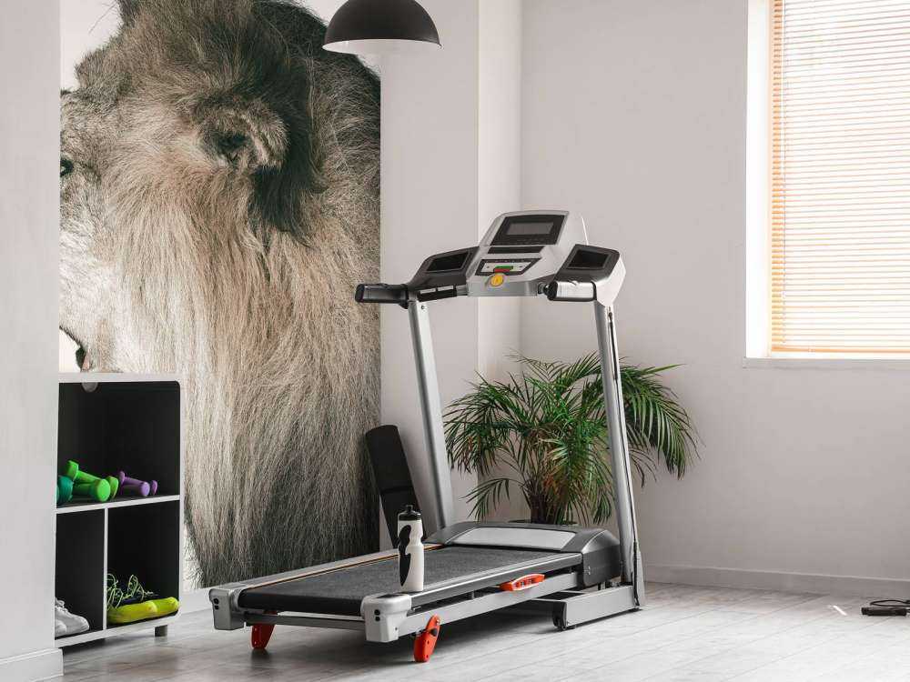 Lion rugissant blanc