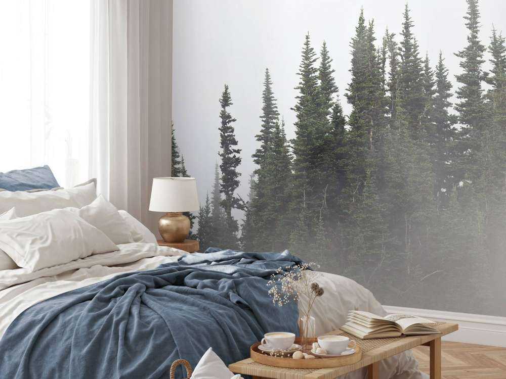 Des arbres dans le brouillard