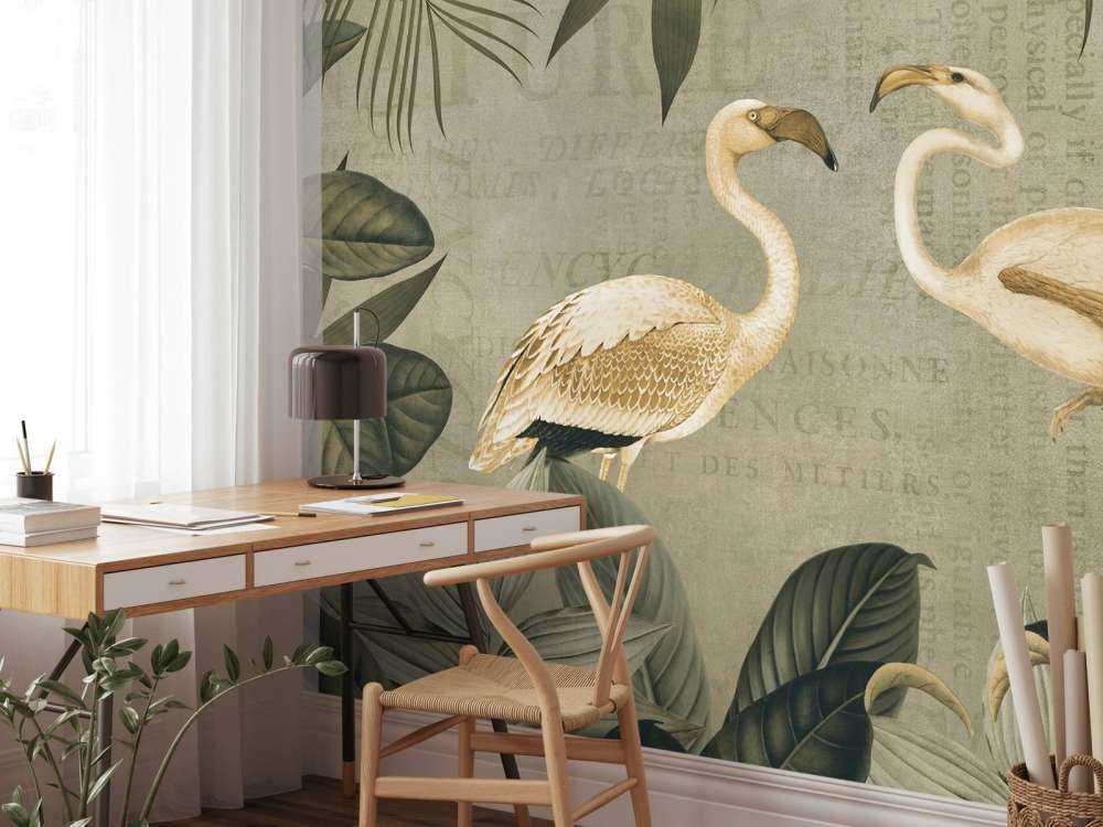 Oasis flamant vintage et ancien texte
