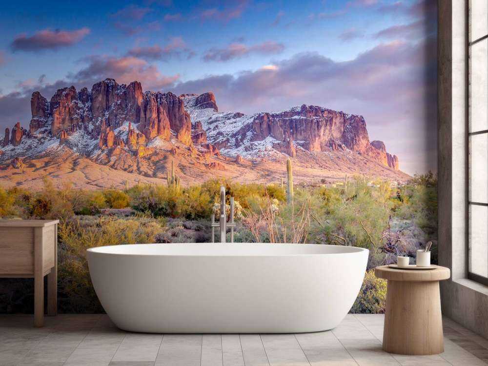 Cactus dans un paysage de montagne