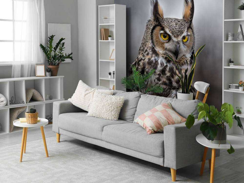 Chouette à plumes brunes