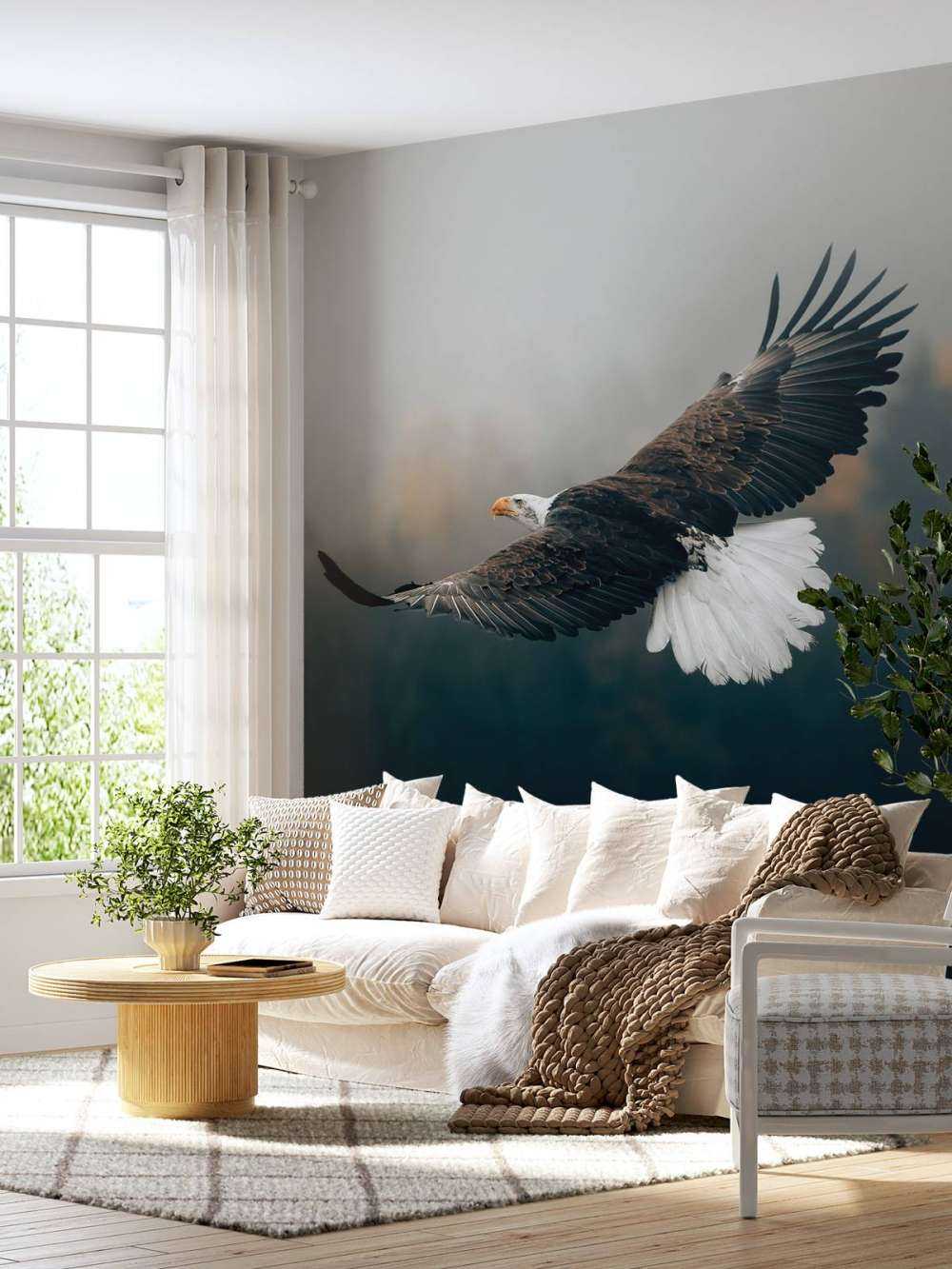 Pygargue à tête blanche au-dessus de la forêt