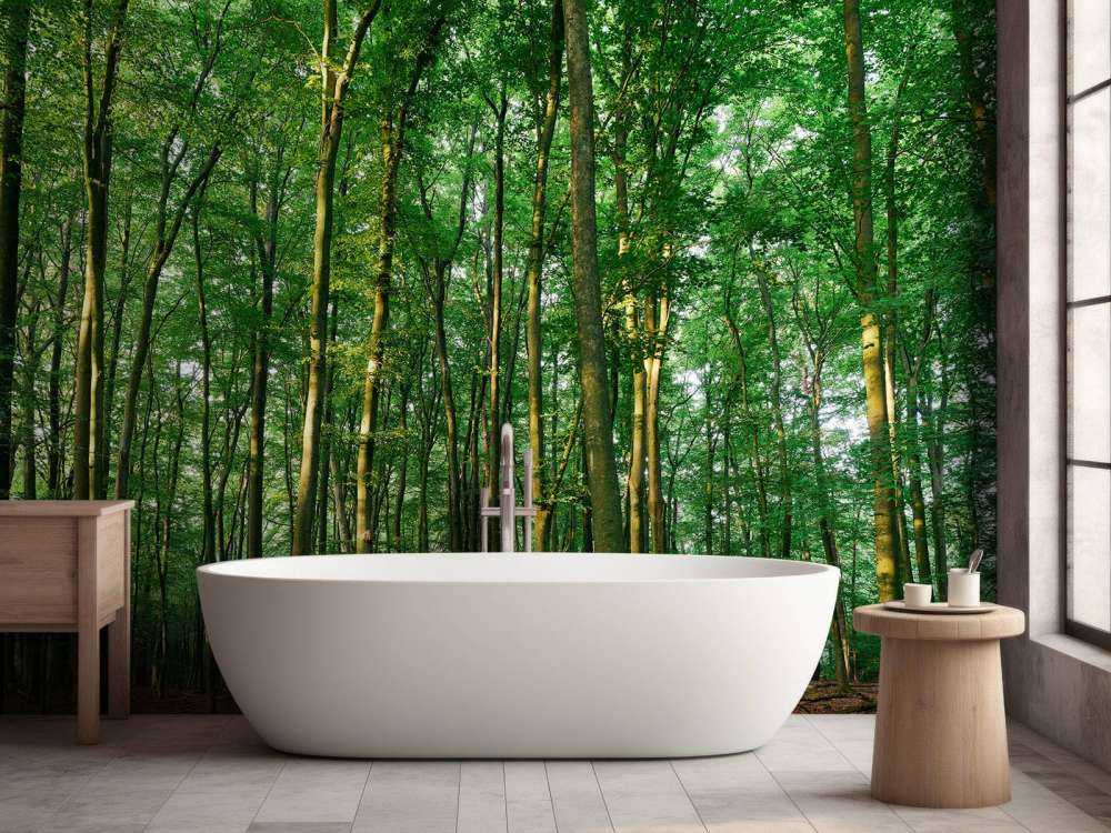 Forêt verte avec lumière du soleil