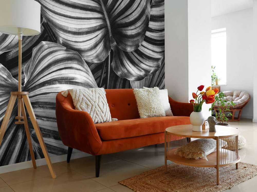 Plante à feuilles rayées