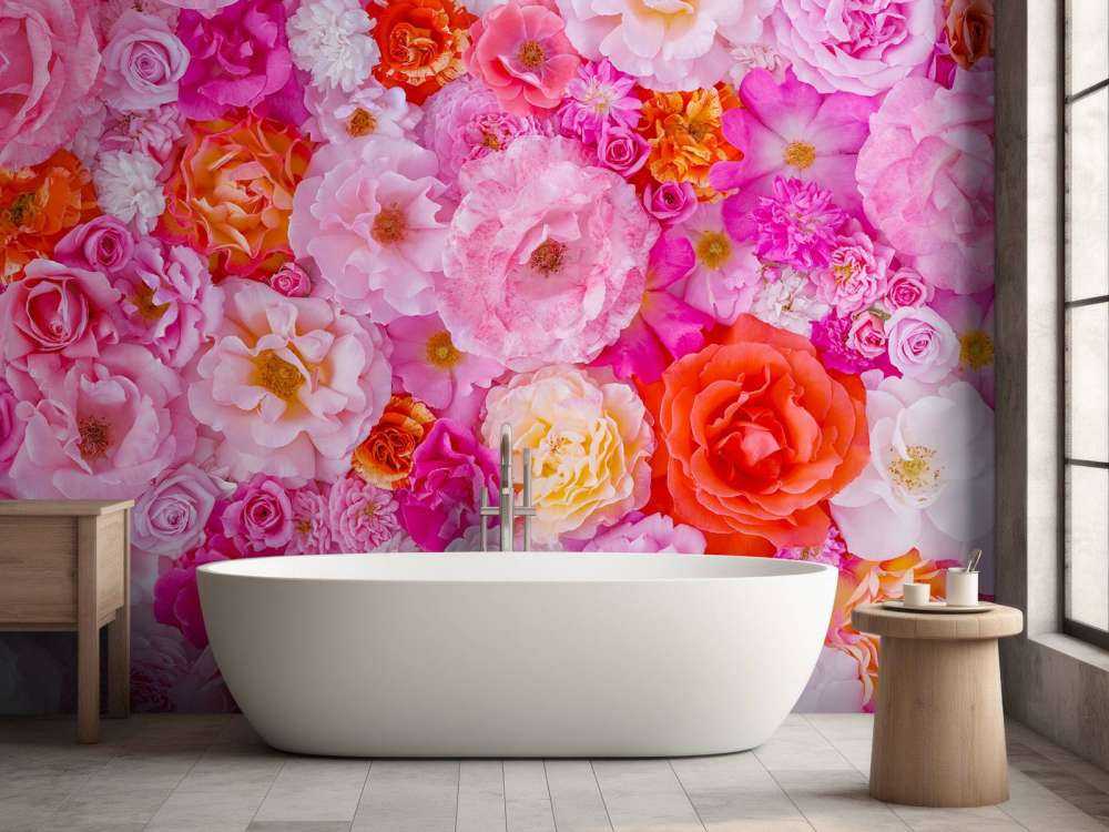 Plein cadre de variété de roses de jardin, fond de fleurs