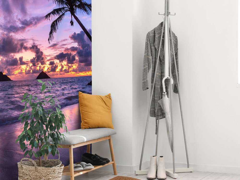 Côte tropicale au coucher du soleil violet