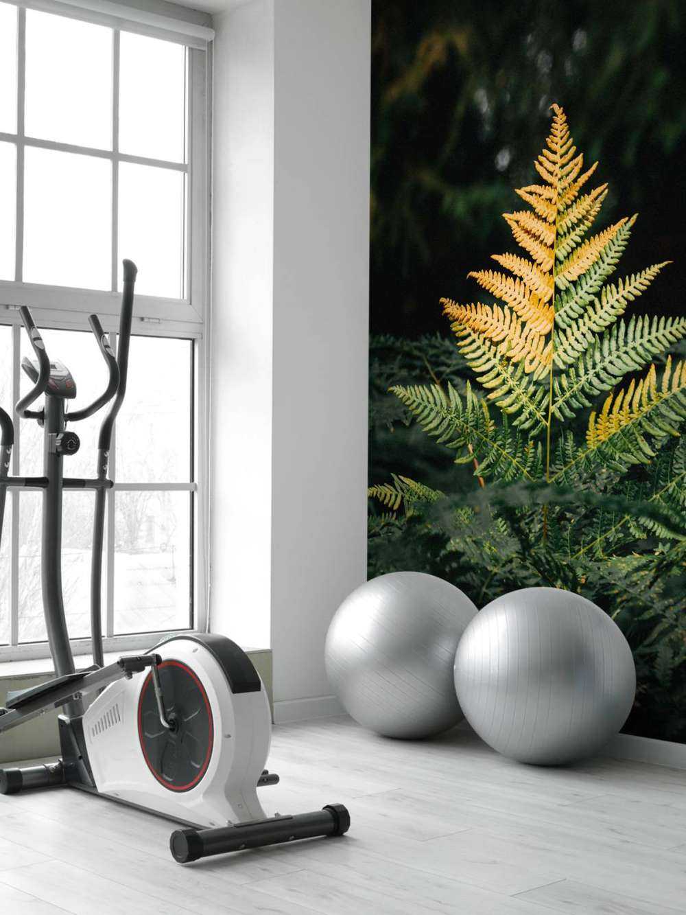 Fougère dorée dans l'ombre