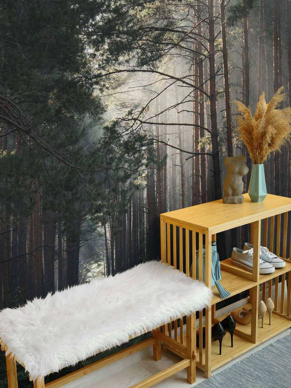 Lueur d'automne dans la forêt