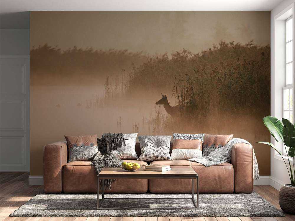 Ree dans la brume du matin